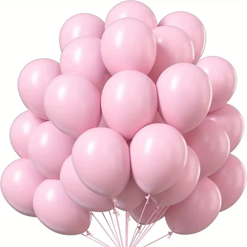 Latex Matte Party Balloons 12inch 10pack