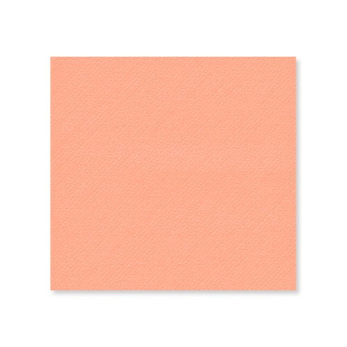 Luncheon Napkin Paper Serviettes 2ply Pastel Solid Colour 33x33cm 20pack