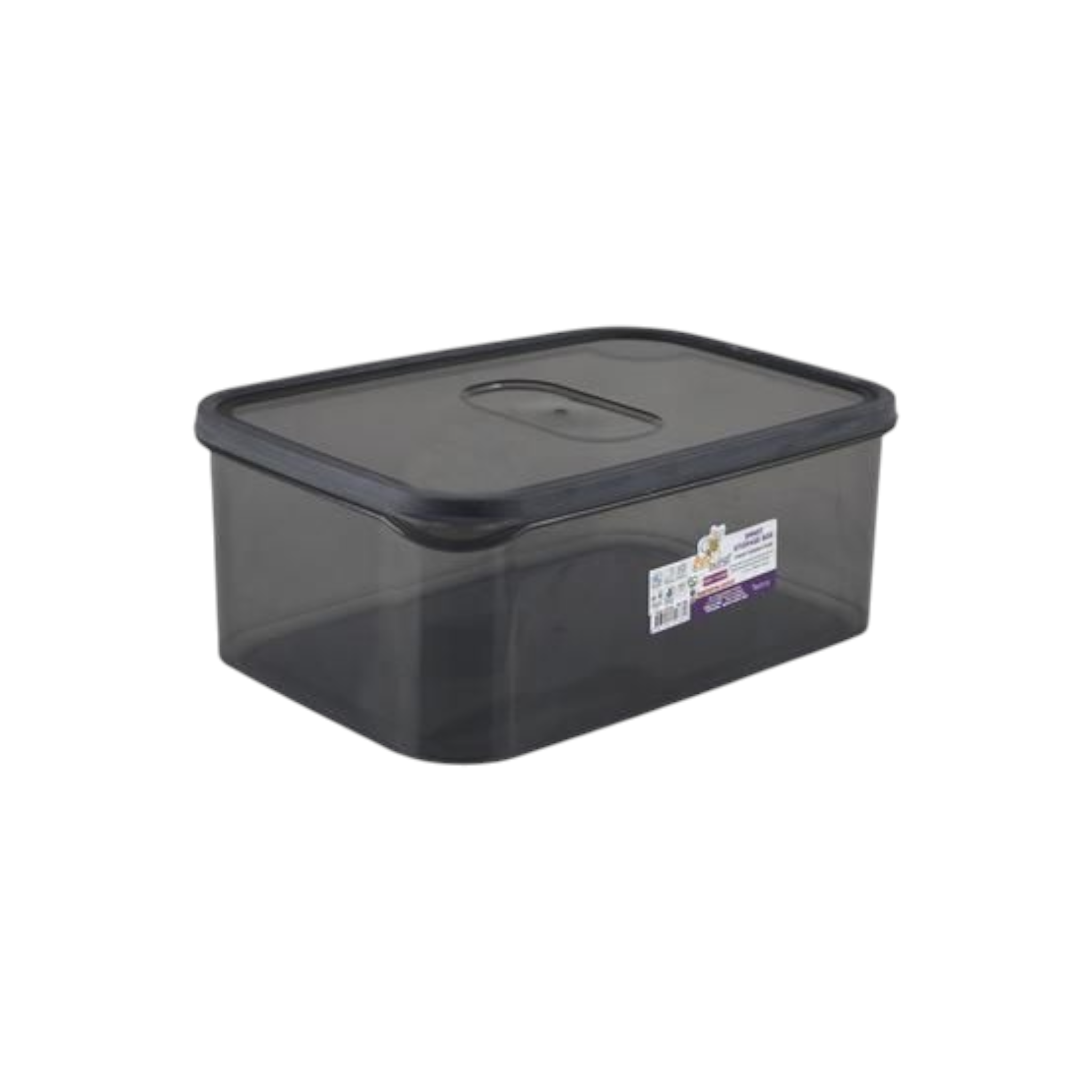 Smart Container 3.5L Storage Box 25x16x10cm