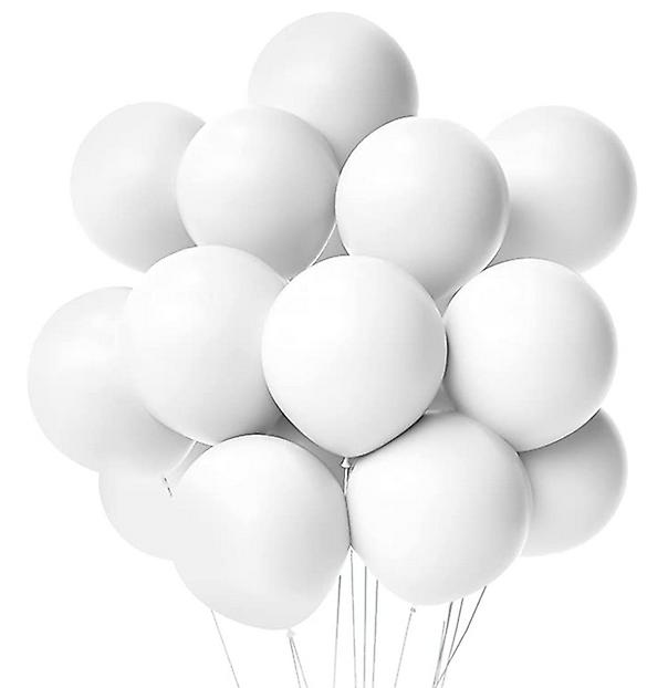 Party Latex Pastel Balloon 2.8g 10.5inch 10pack