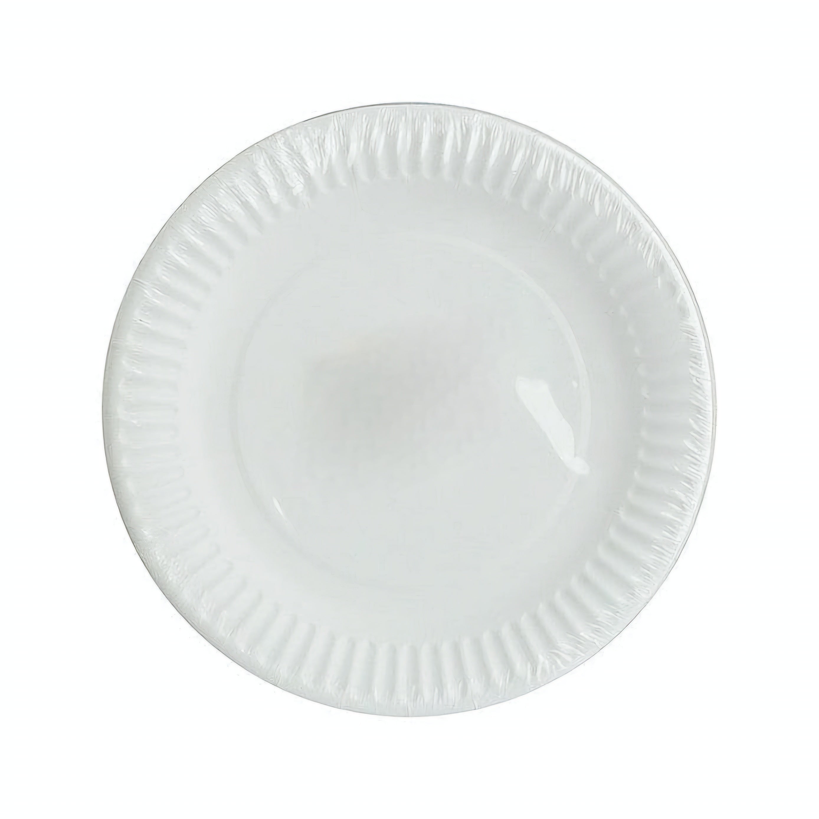 Disposable Paper Plates 230mm White 100pack