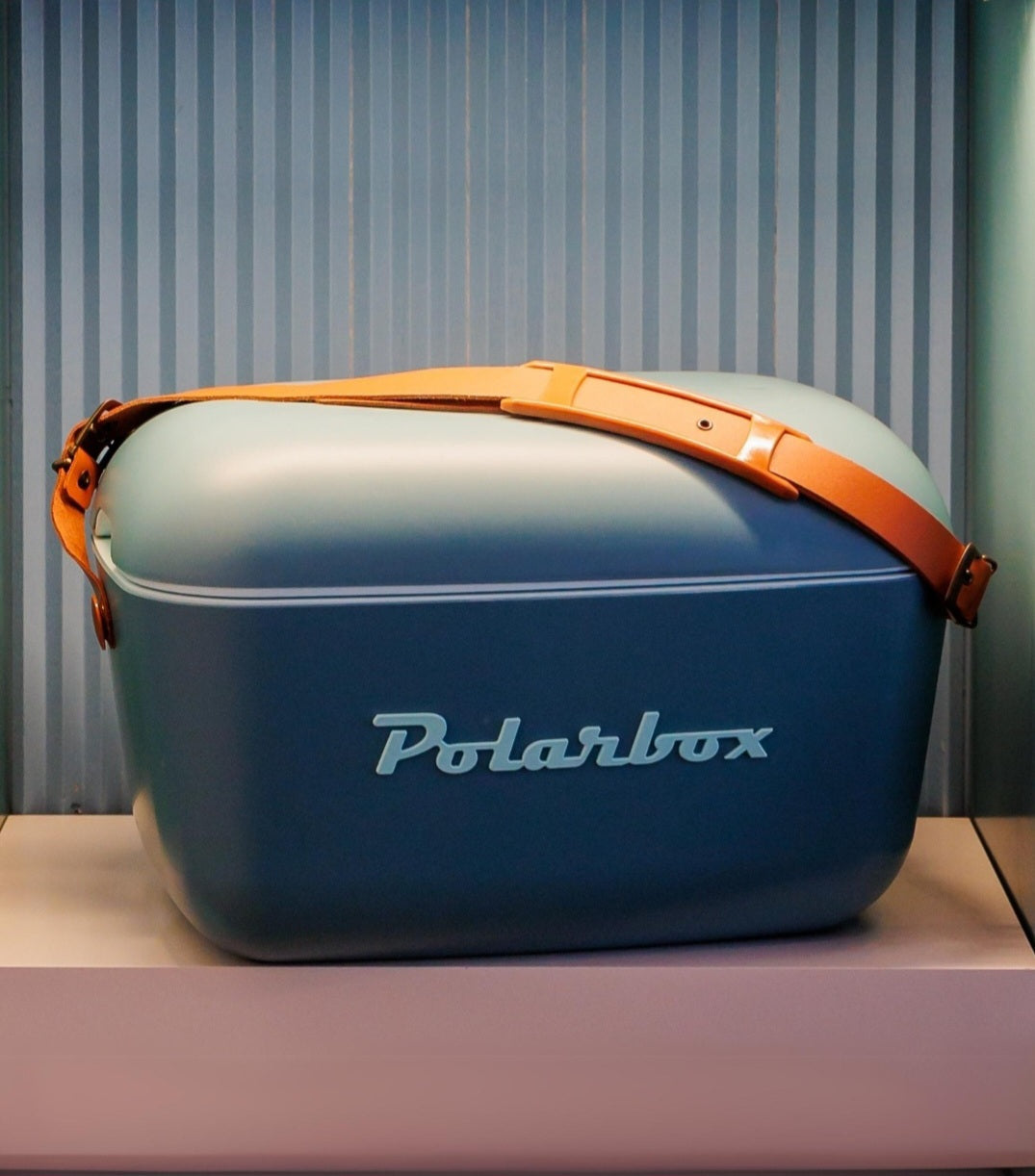 Polarbox 20L Retro Cooler Storage Container