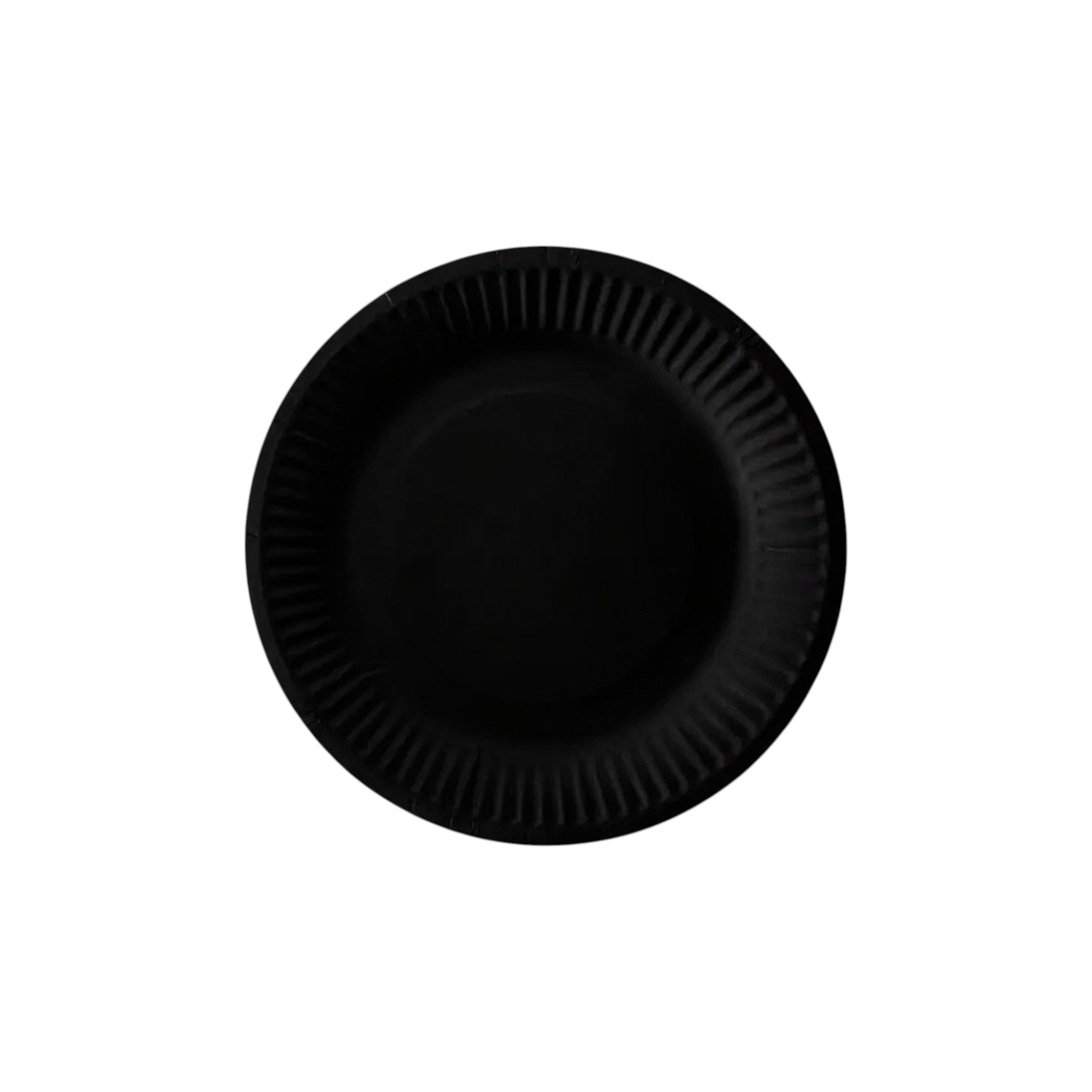 Party Paper Plates 9inch 10pack