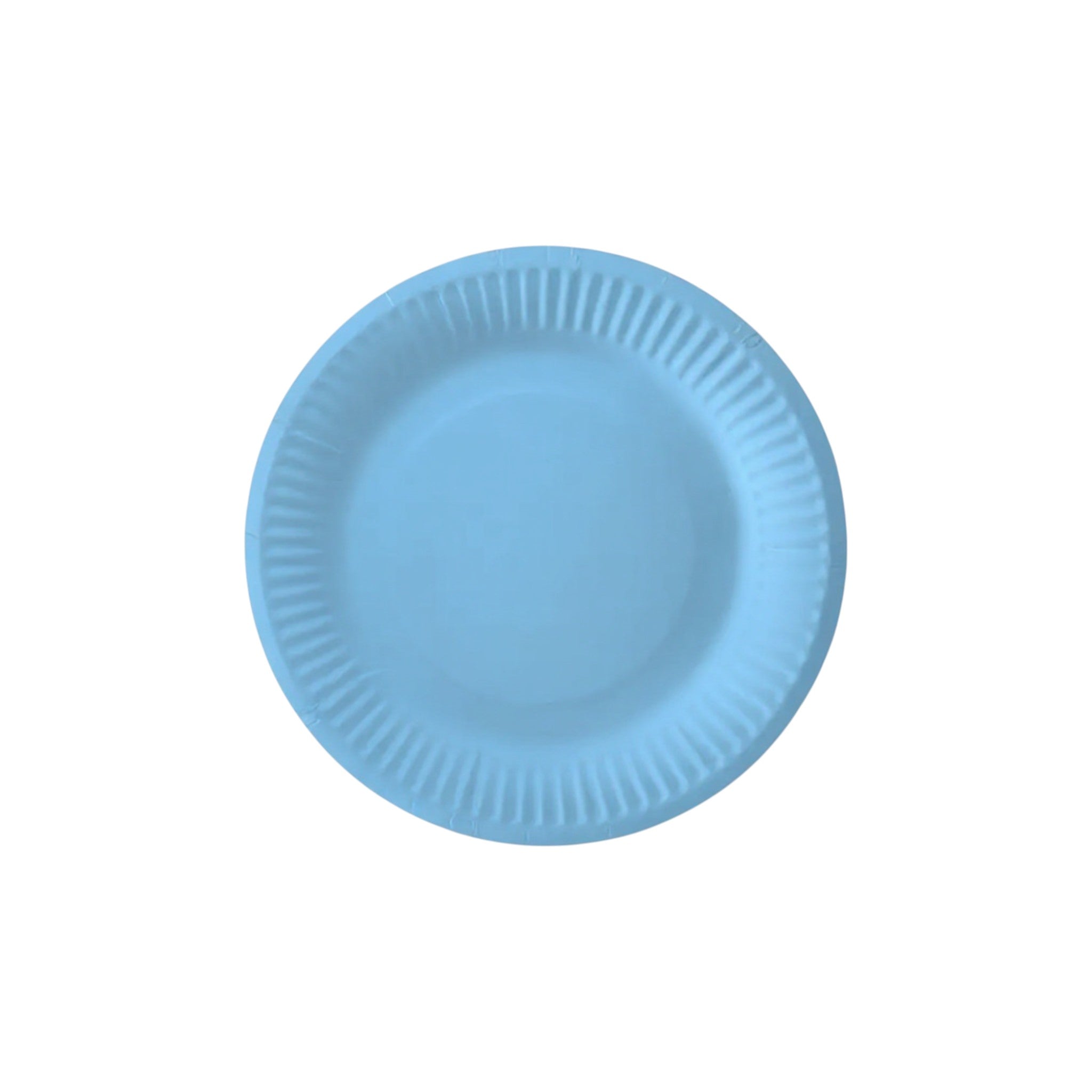 Party Paper Plates 9inch 10pack