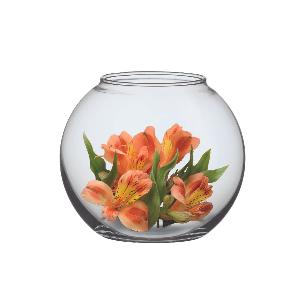 Simax 21.5cm Glass Globe Vase