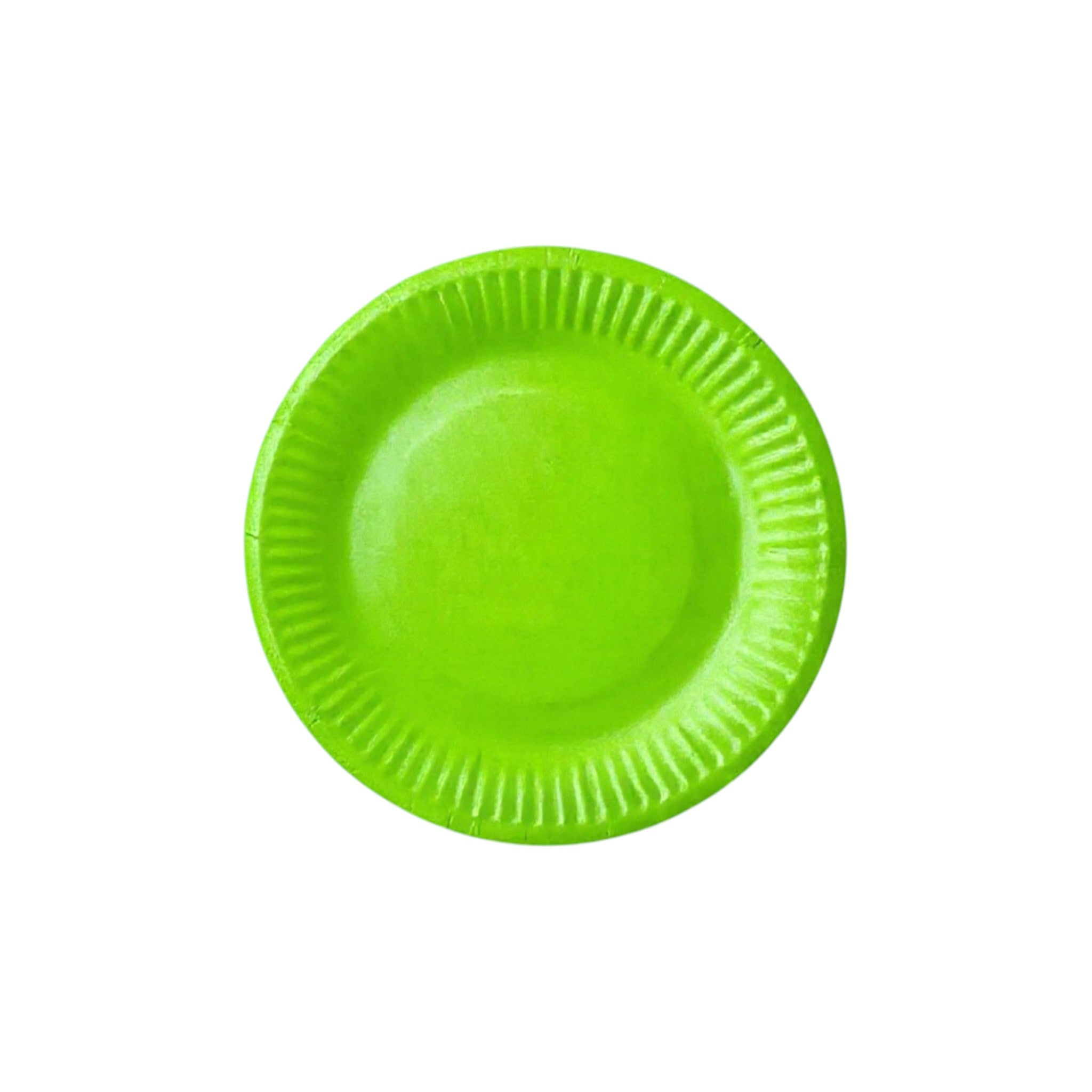 Party Paper Plates 9inch 10pack