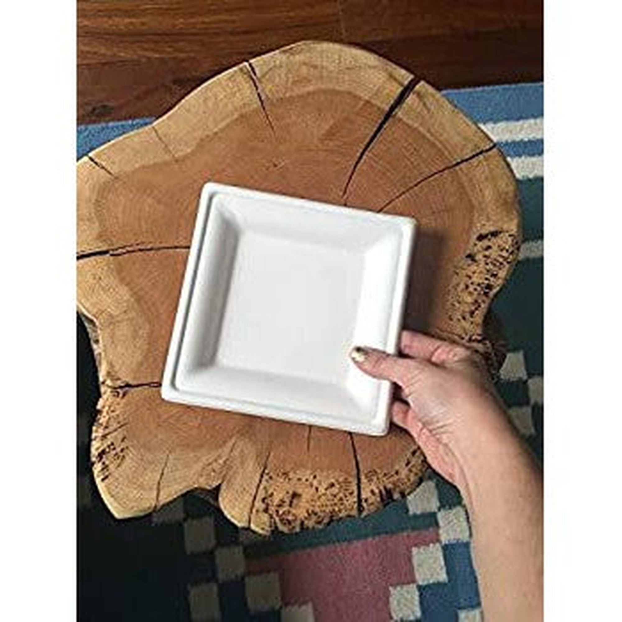 Biodegradable Takeaway Plate 10inch Square White Sugar Cane