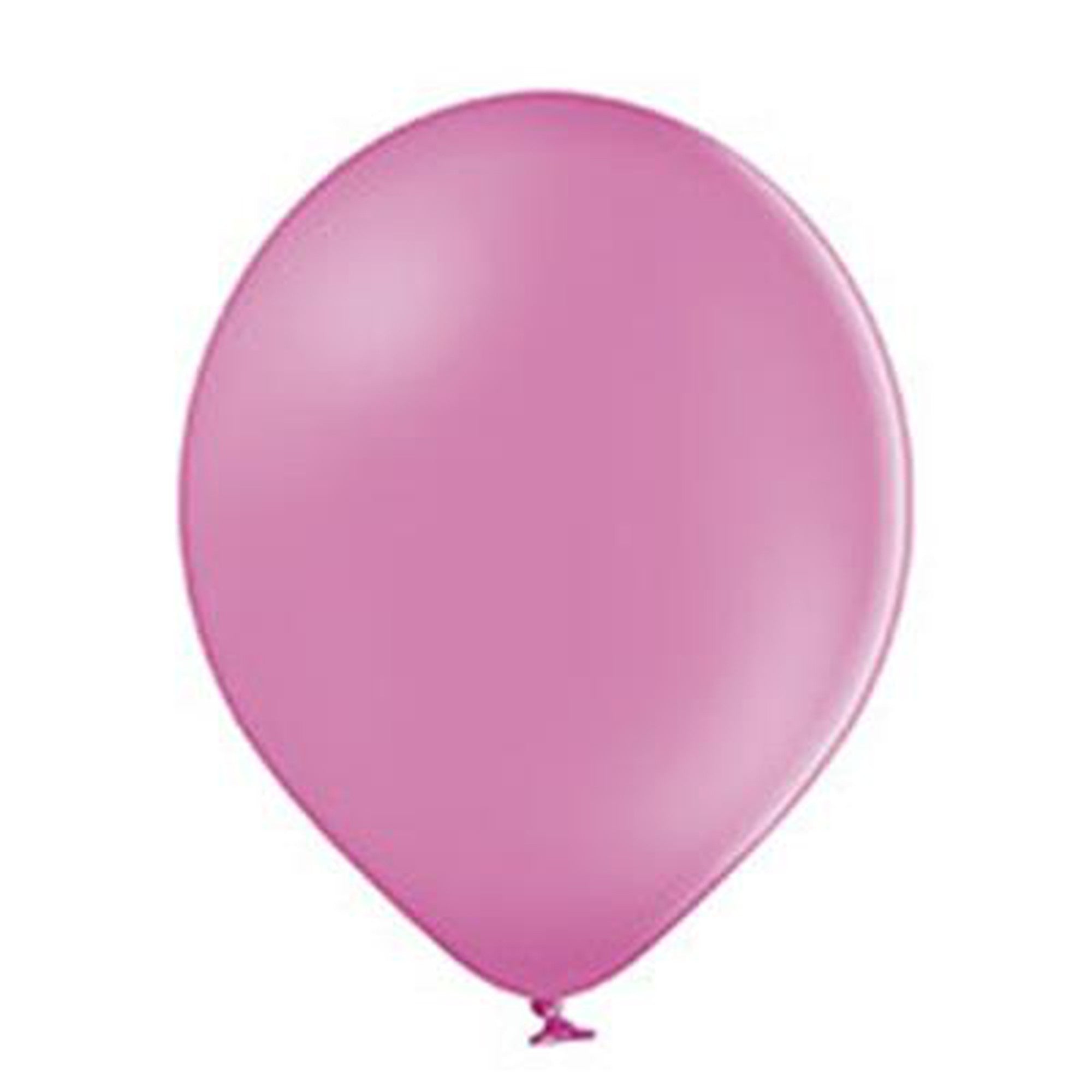 Latex Pastel Party Balloons B85 10pack