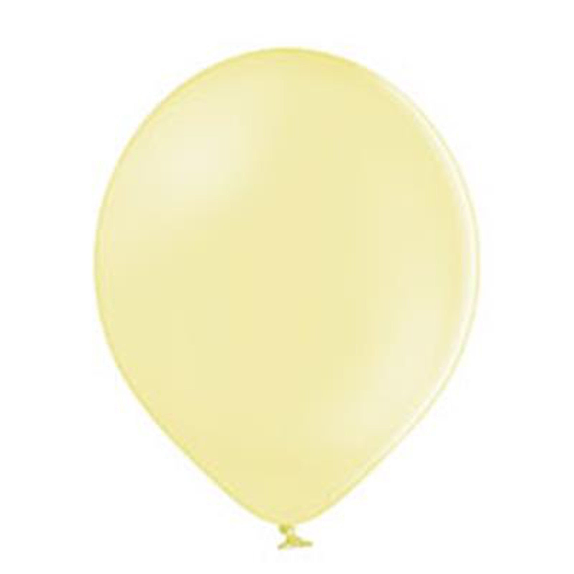 Latex Pastel Party Balloons B85 10pack