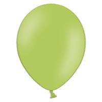 Party Latex Pastel Balloon 2.8g 10.5inch 10pack