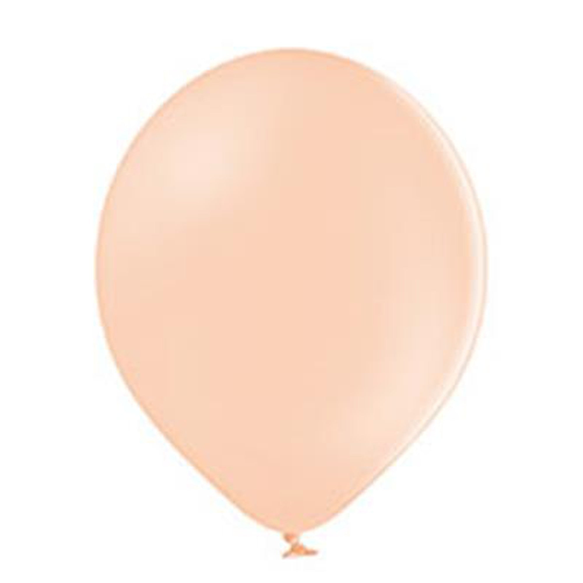 Latex Pastel Party Balloons B85 10pack