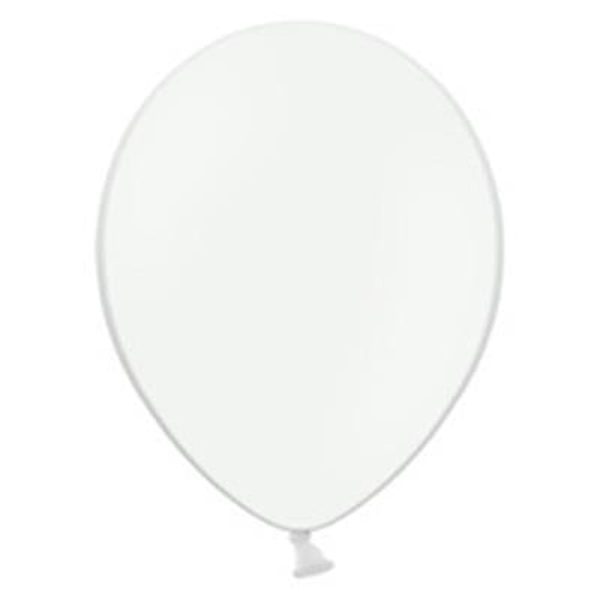 Latex Pastel Party Balloons B85 10pack