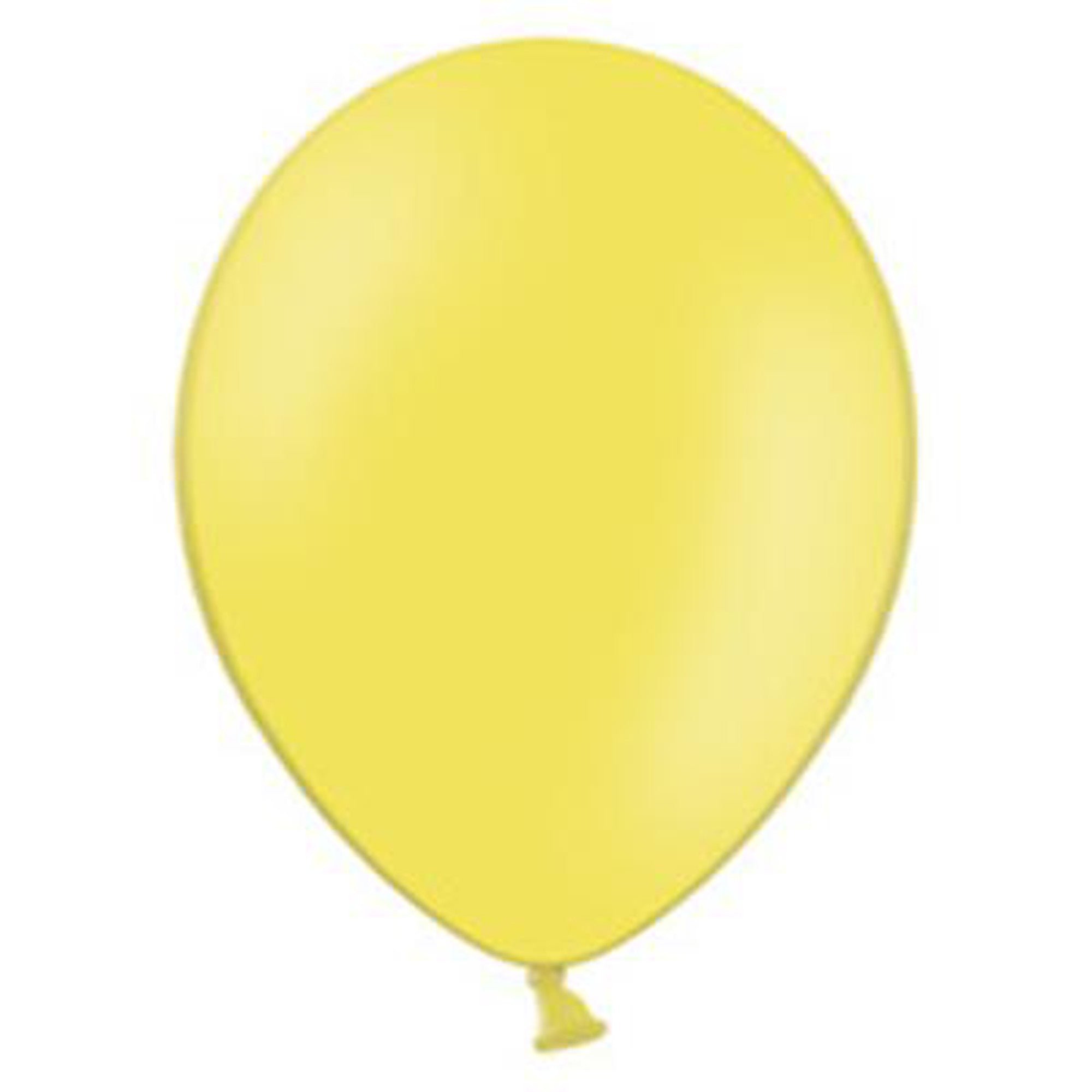 Latex Pastel Party Balloons B85 10pack