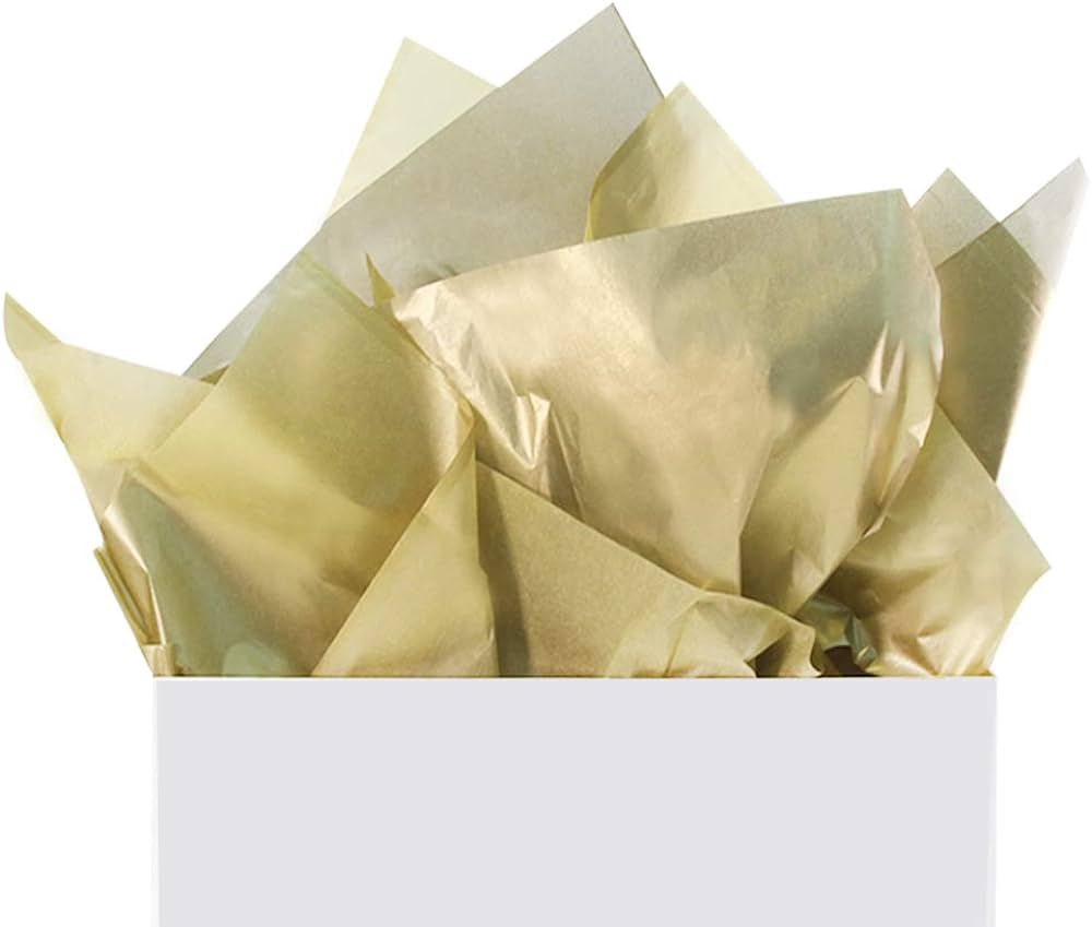 Gift Wrap Tissue Paper 50.8x66cm 10sheets