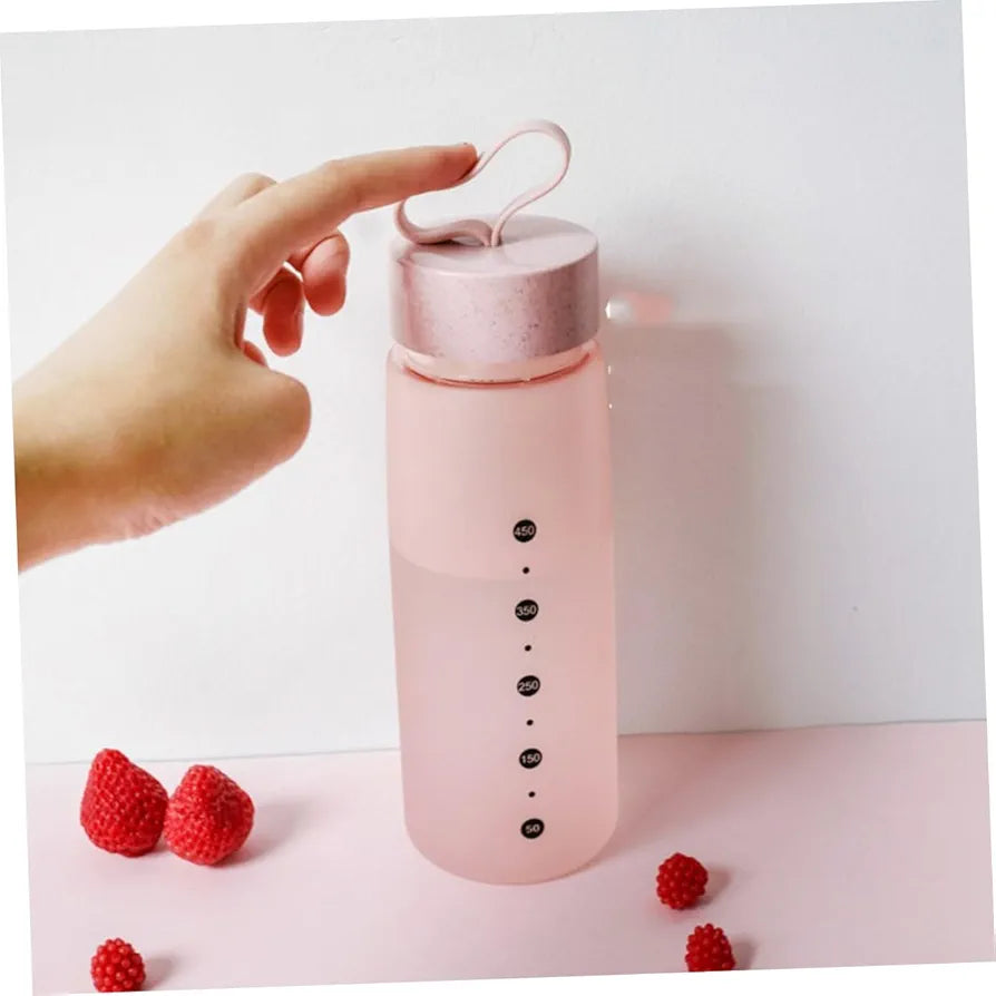 500ml Frosted Sports Water Bottle 19cm Patterned