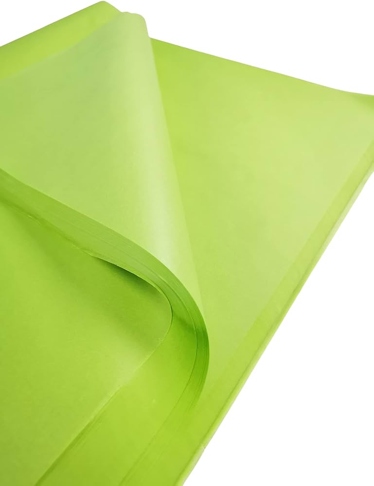 Gift Wrap Tissue Paper 50.8x66cm 10sheets