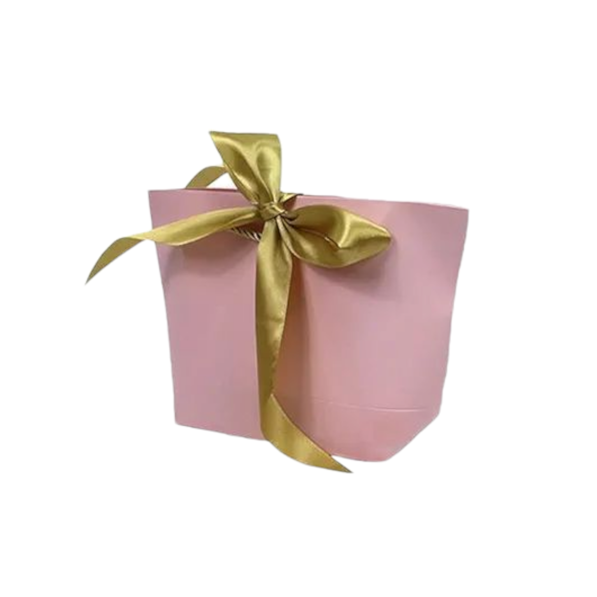 Designer Gift Paper Bag with Gold String Handle & Ribbon
