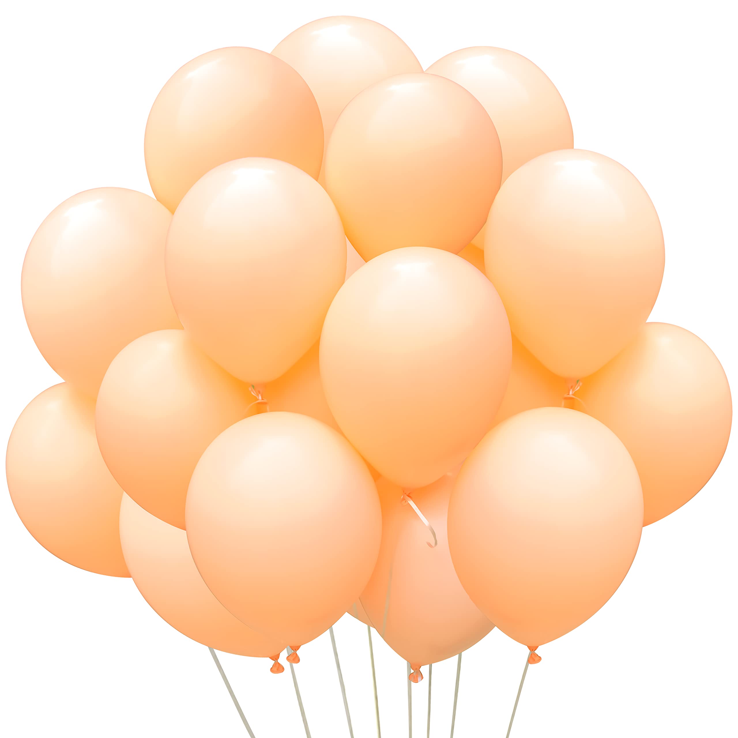 Party Latex Pastel Balloon 2.8g 10.5inch 10pack