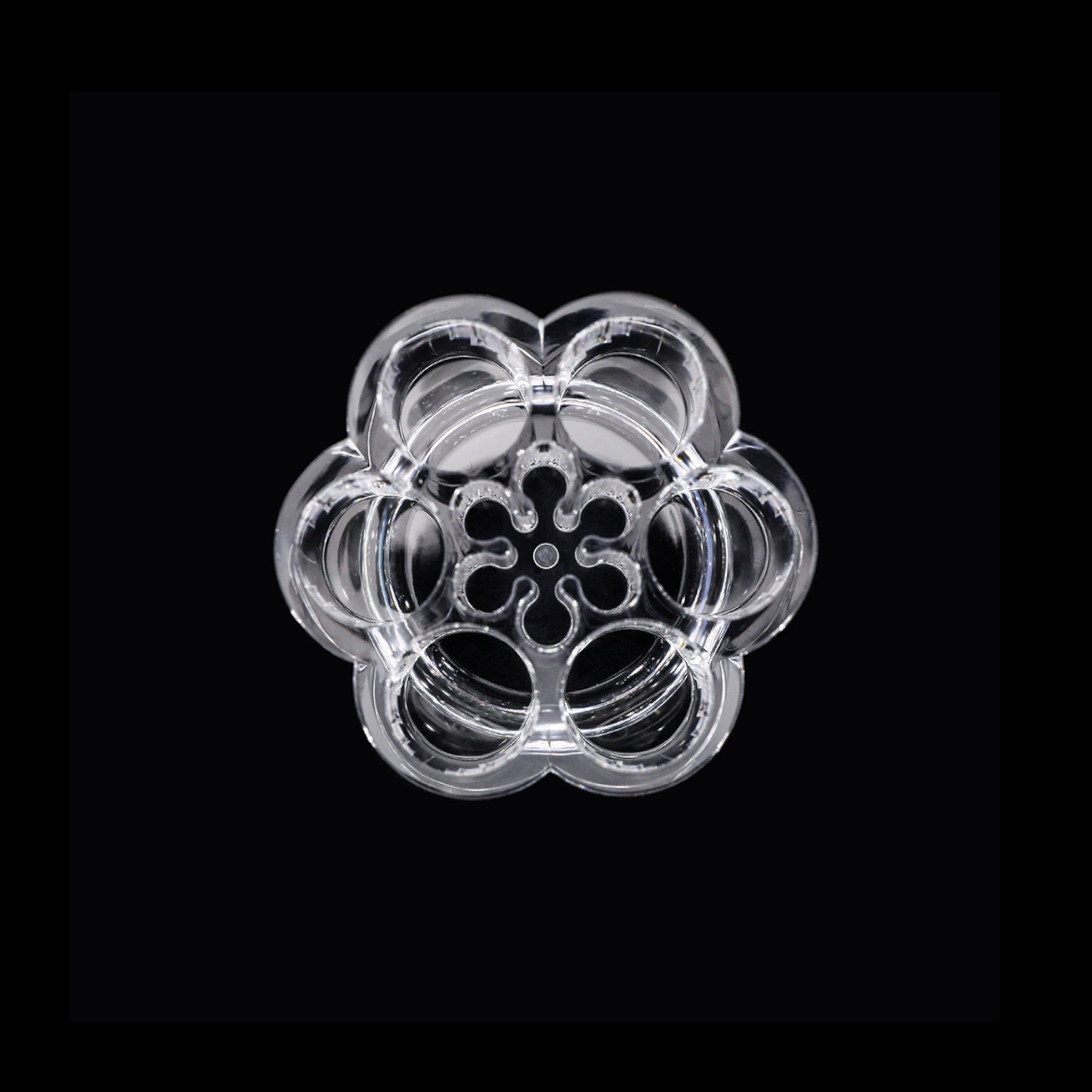 Modern Makeup Cosmetic  Organizer - Clear Plastic Flower Shape