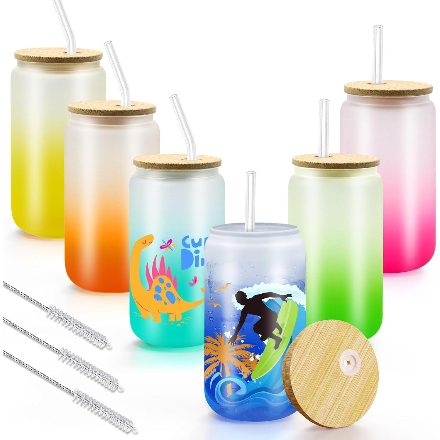 Frosted Glass Drinking Can Bottle 480ml Color Gradient with Bamboo Lid & Borosilicate Straw