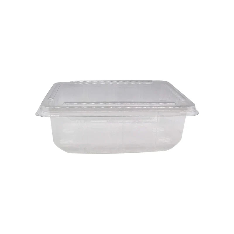 Zibo Rectangular Clamshell 750ml T335