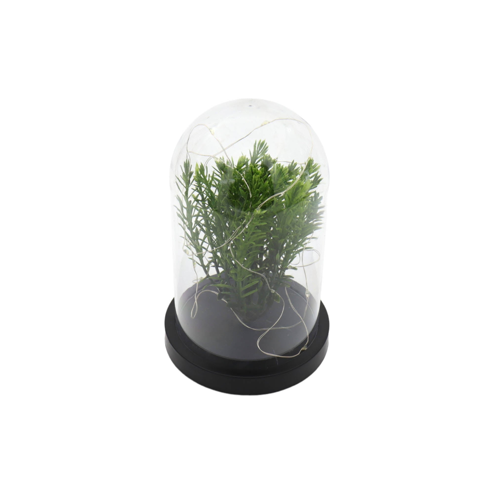 Nu Ware Plastic Flower Pot Dome with Light