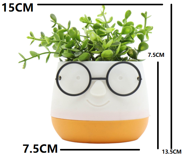 Nu Ware Plastic Flower Pot Spectacles