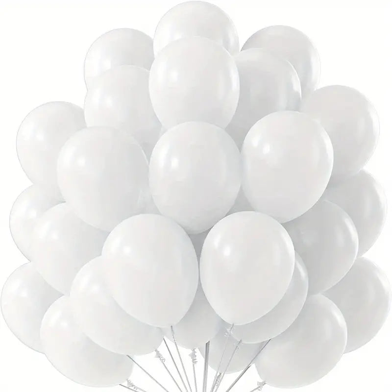 Latex Matte Party Balloons 12inch 10pcs