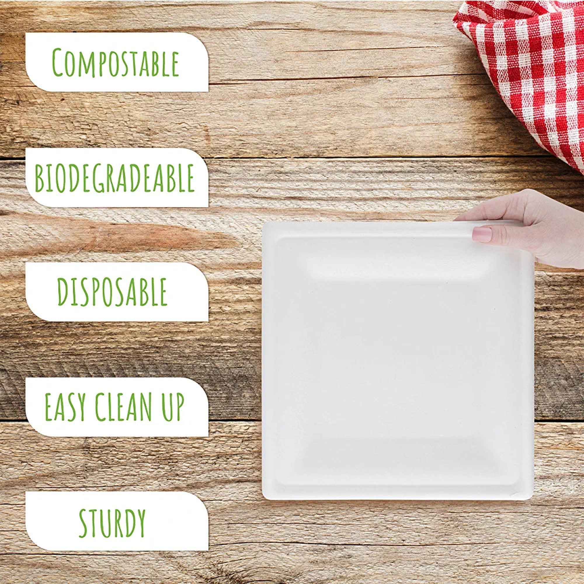 Biodegradable Takeaway Plate 10inch Square White Sugar Cane