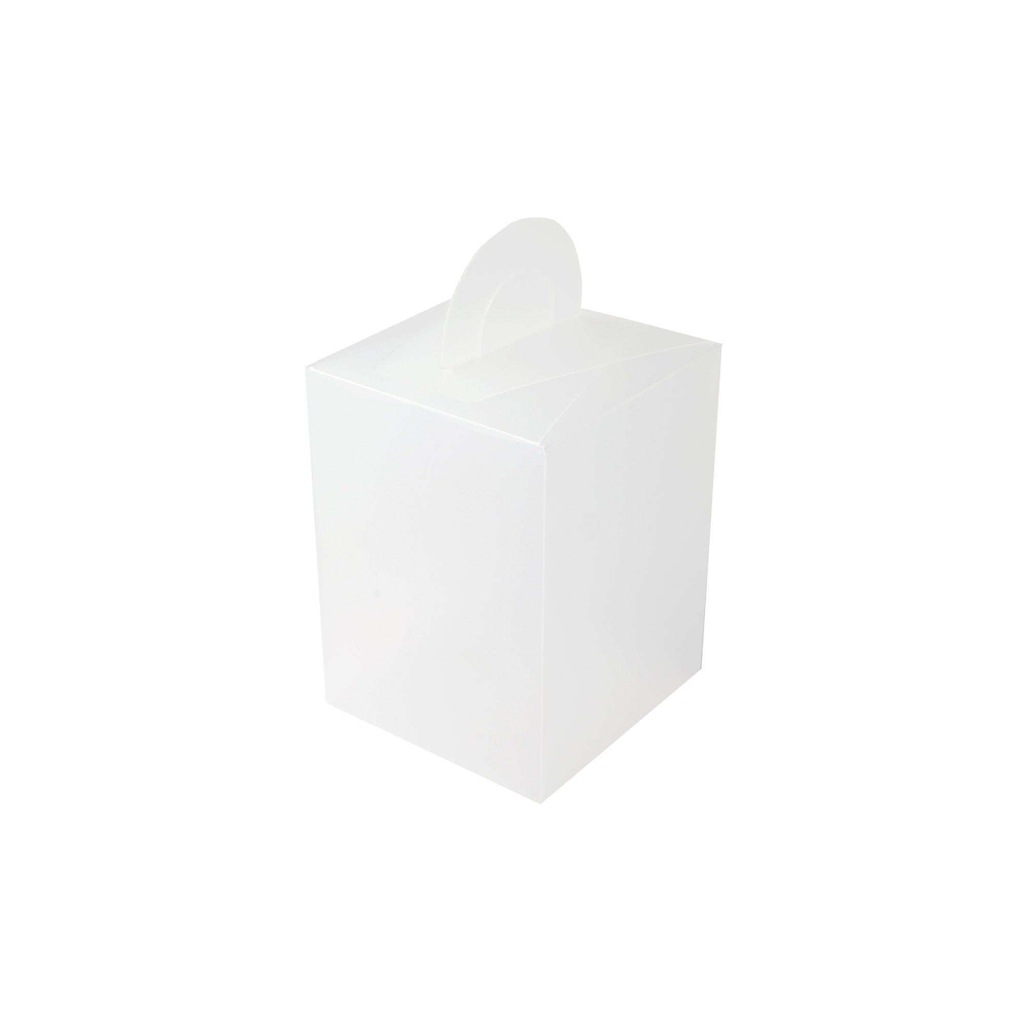 PVC Gift Boxes Frosted with Suitcase Carry Handle 12pack