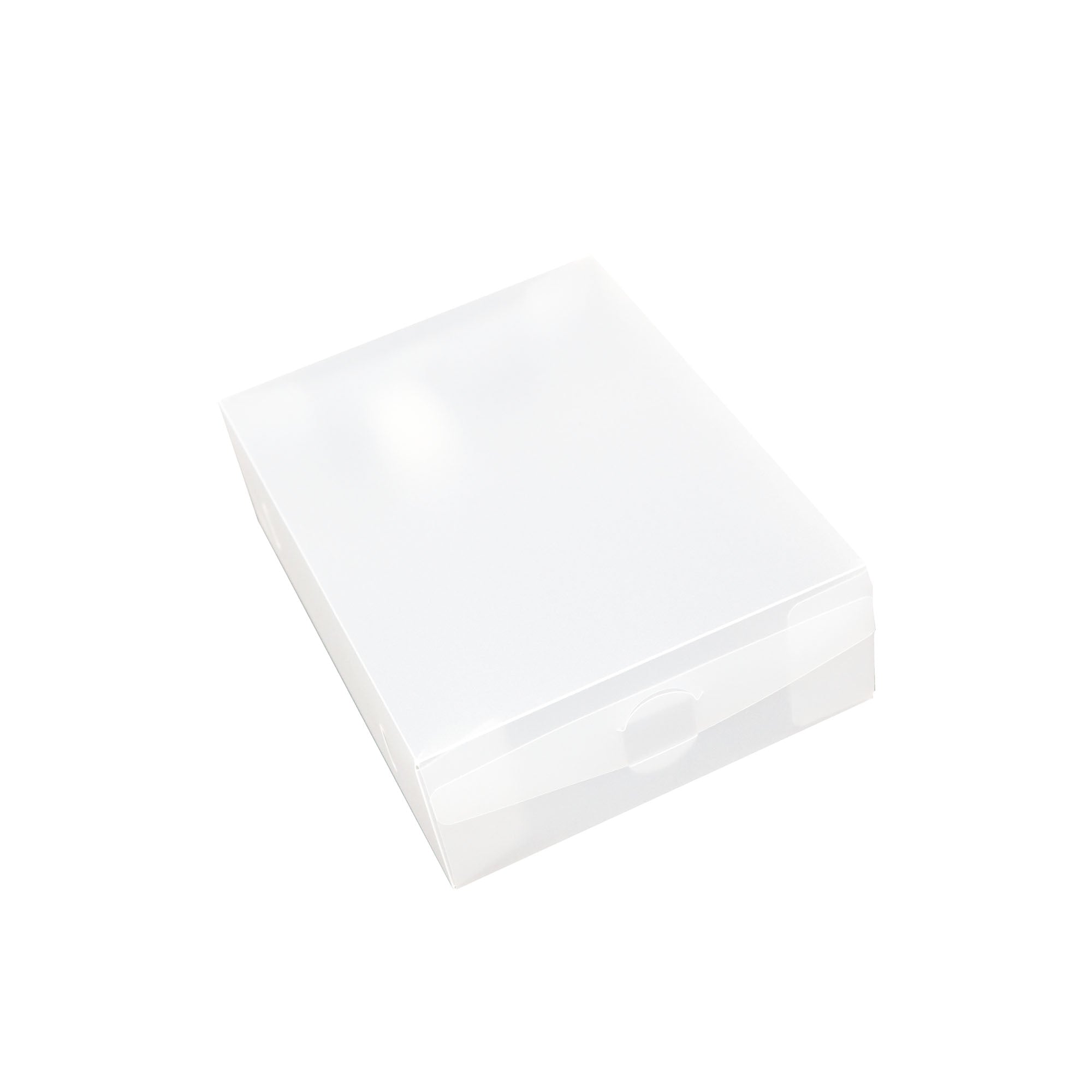 PVC Gift Box Bag with Suitcase Handle - Storage Space Saver