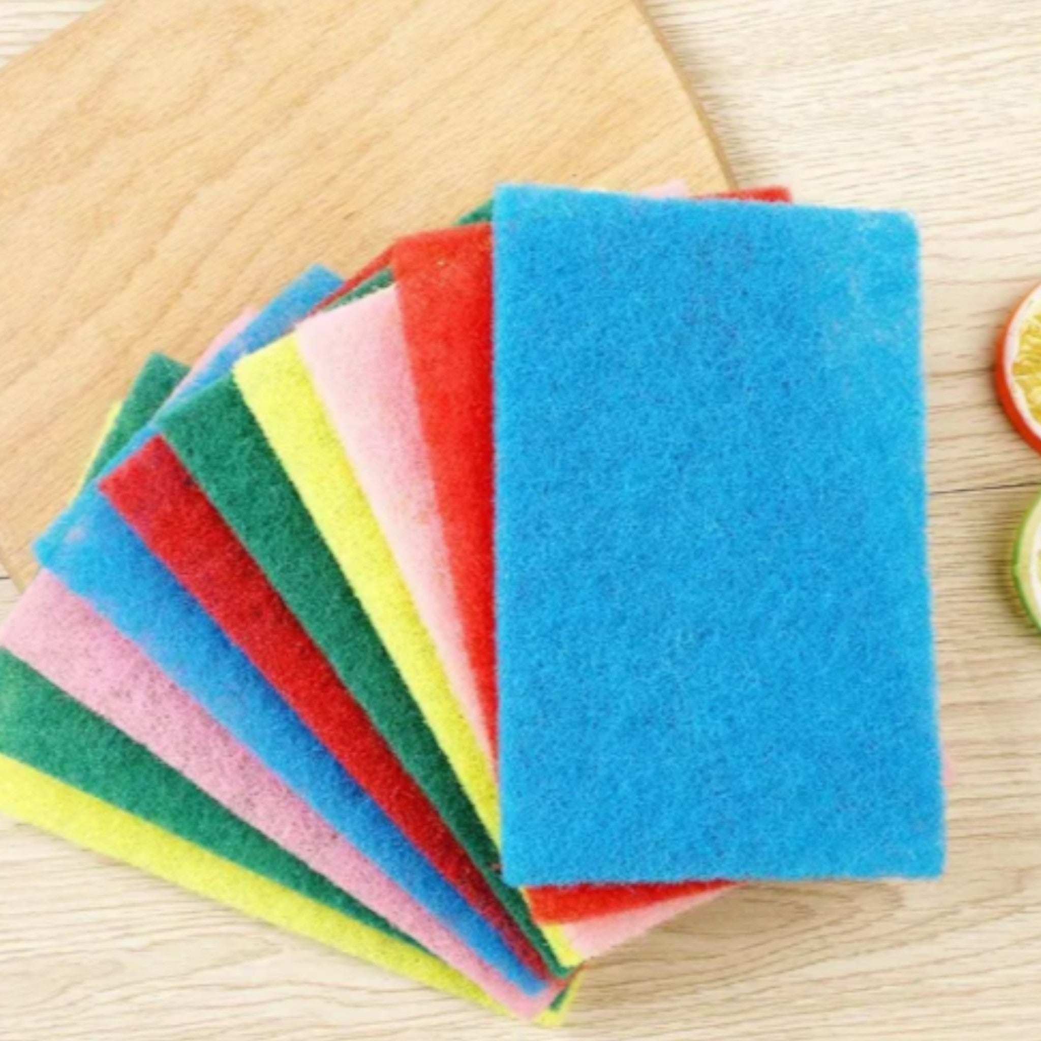 Scouring Pads 10pc Hs