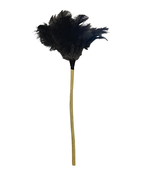 Feather Duster Long with Wooden Stick