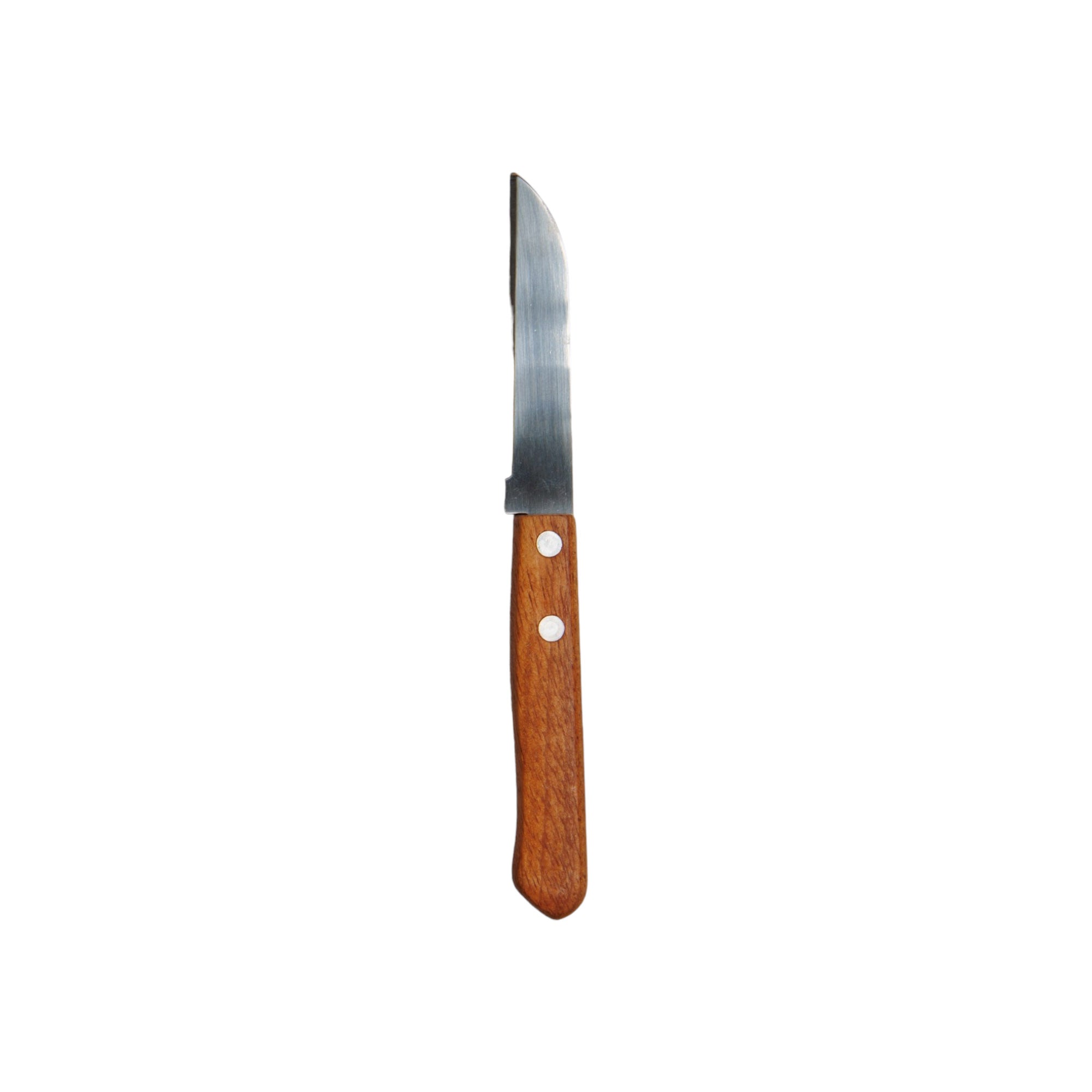 Stainless Steel Fruit Knife 17.5cm