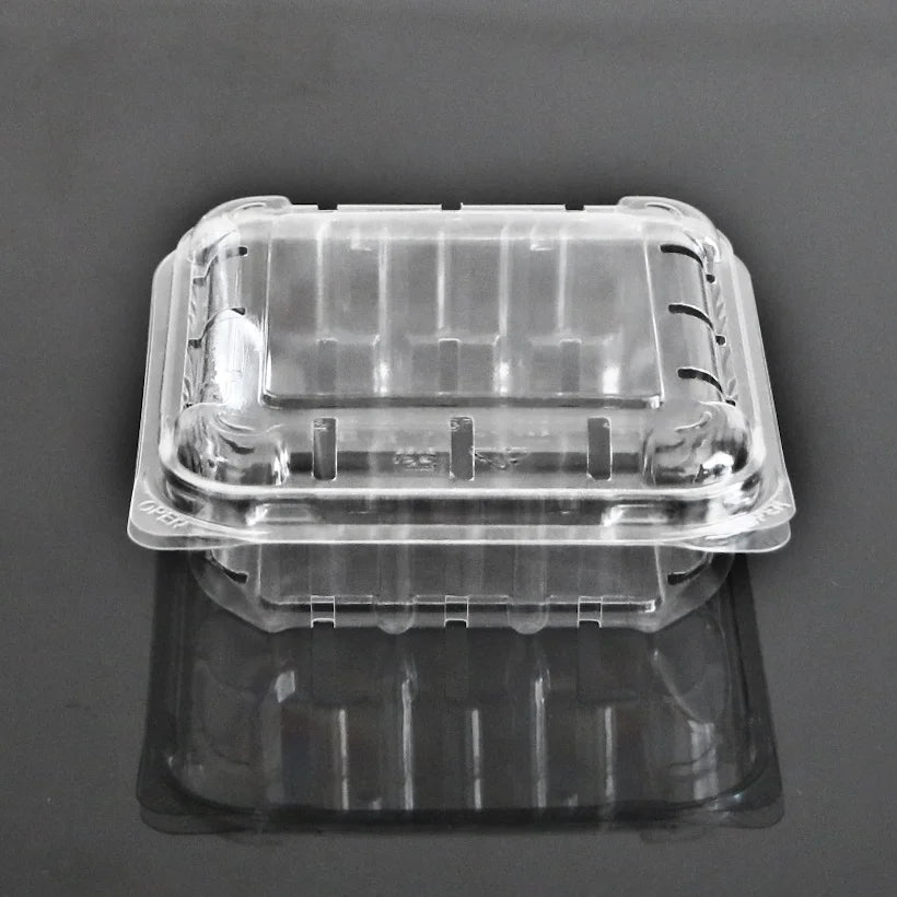 Disposable PP Fruit & Vegetable Packaging Container 11x4cm Blister Transparent Clamshell Flip Lid 10pack