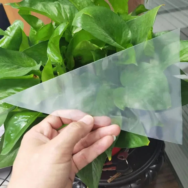 LDPE Plastic Piping Bags Clear 100pack