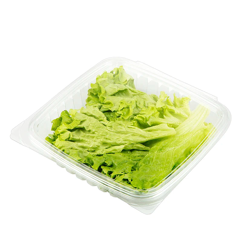 Disposable PP Fruit & Vegetable Packaging Container 11x4cm Blister Transparent Clamshell Flip Lid 10pack