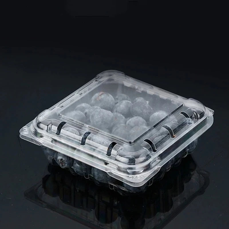 Disposable PP Fruit & Vegetable Packaging Container 11x4cm Blister Transparent Clamshell Flip Lid 10pack