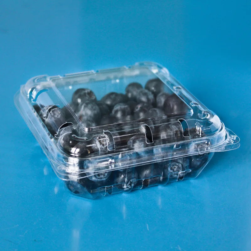 Disposable PP Fruit & Vegetable Packaging Container 11x4cm Blister Transparent Clamshell Flip Lid 10pack