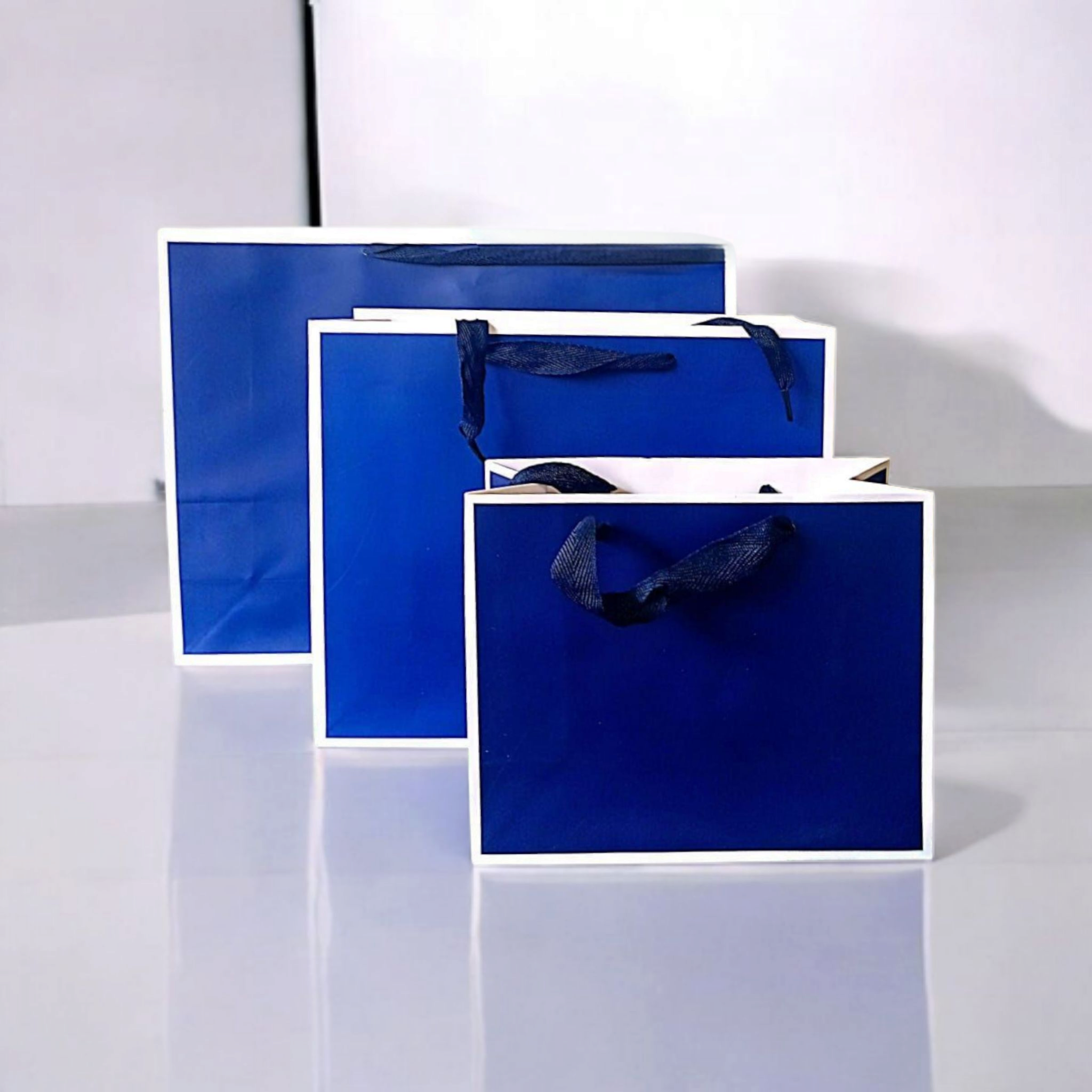 Gift Boutique Shopping Paper Bag With Black Border lines