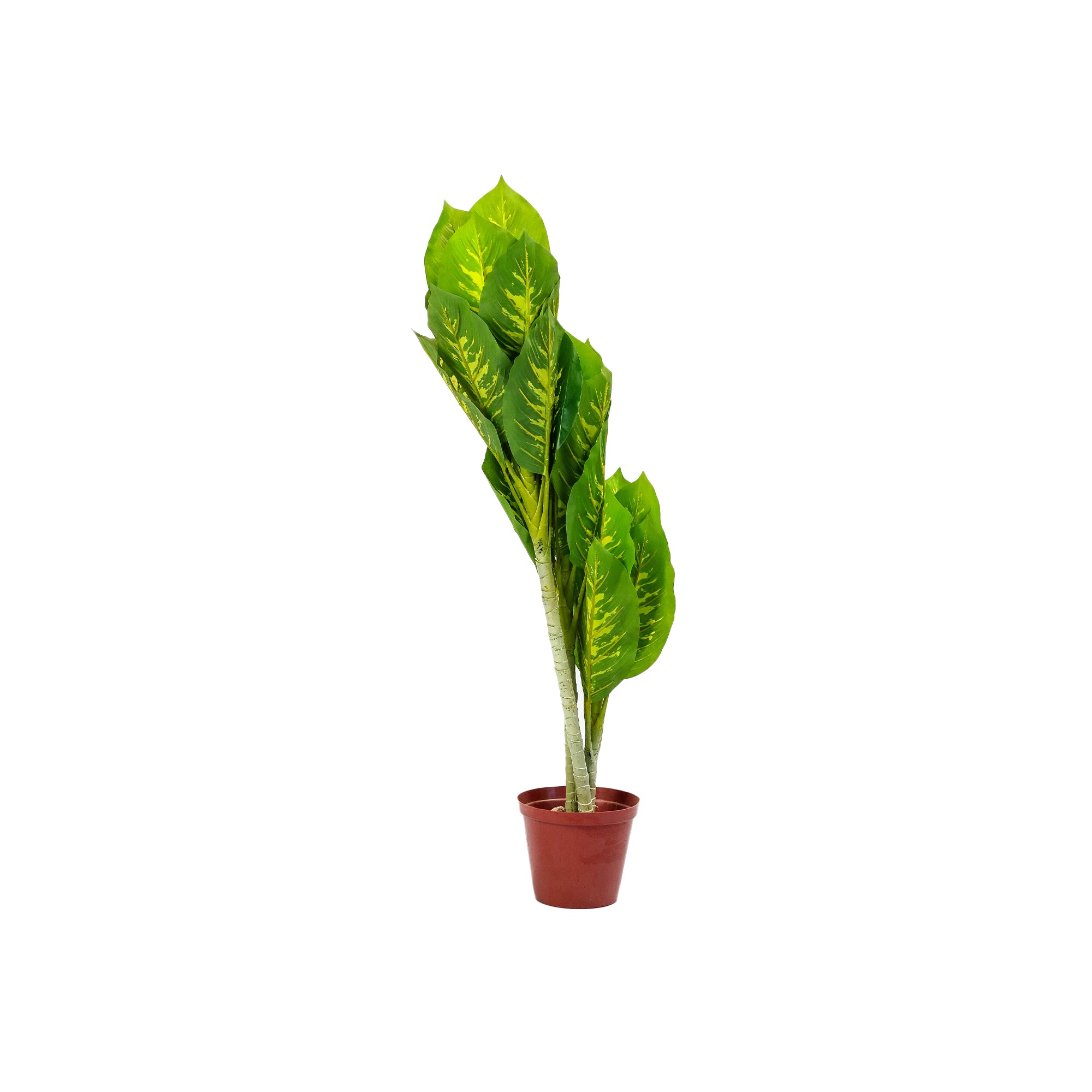 Artificial Plant Dumb Cane Tuftroot 105cm