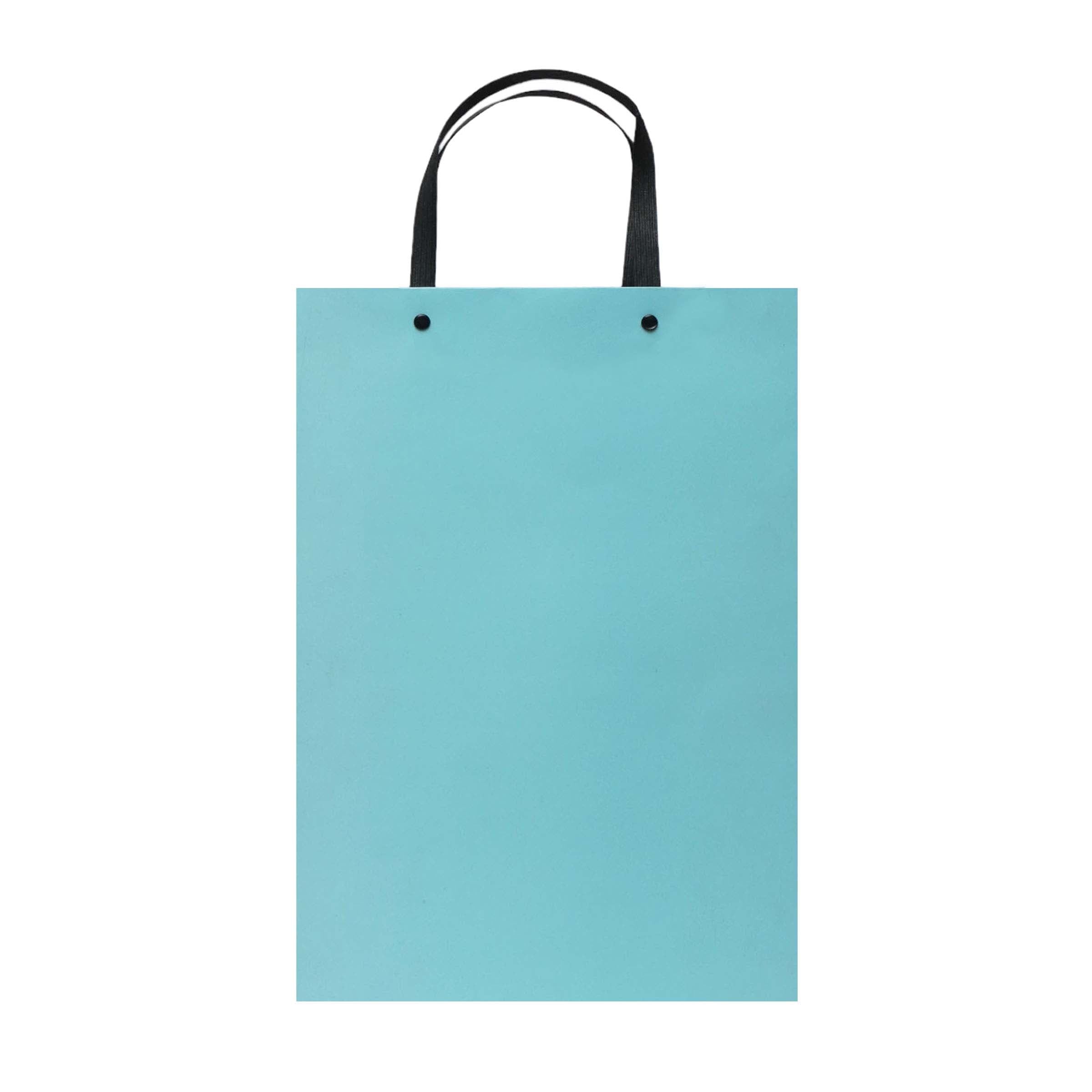 Gift Paper Bag Shopper 24x12xcm Large