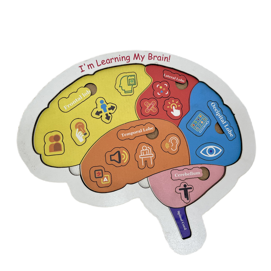 Educational Toy I am Learning My Brain Puzzle 20x20cm MB36