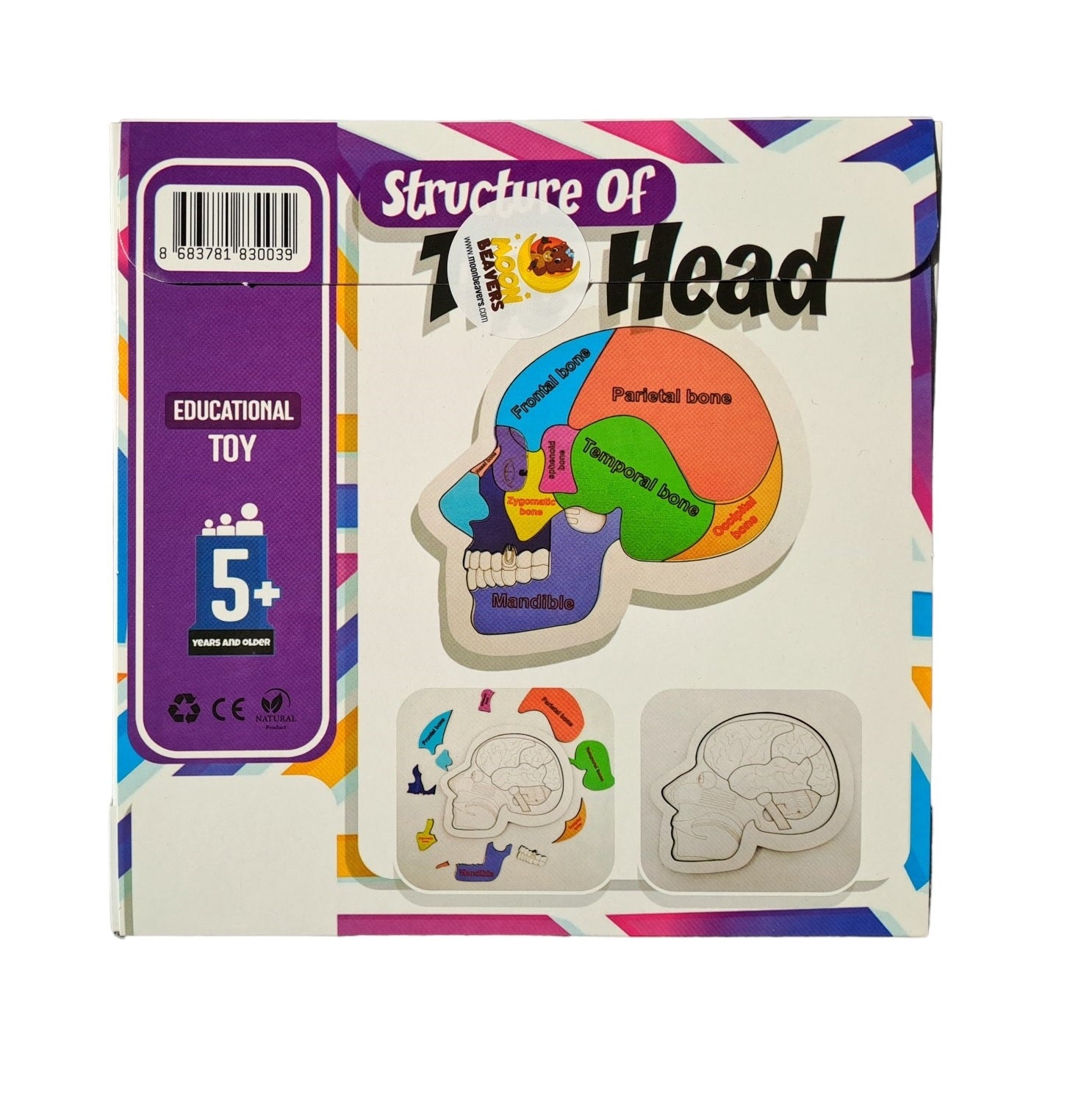 Educational Toy Structure Of The Head Puzzle 20x20cm MB38