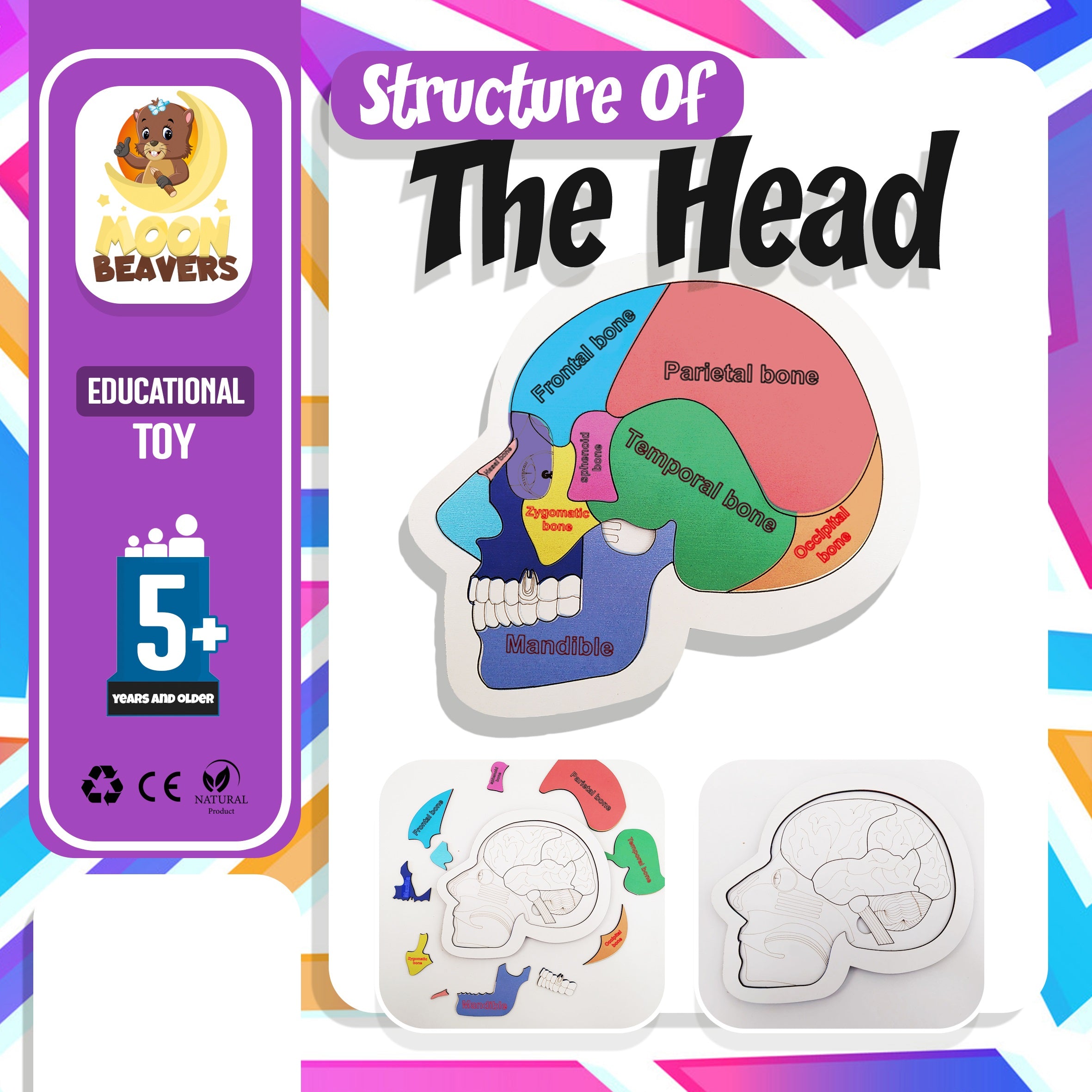 Educational Toy Structure Of The Head Puzzle 20x20cm MB38