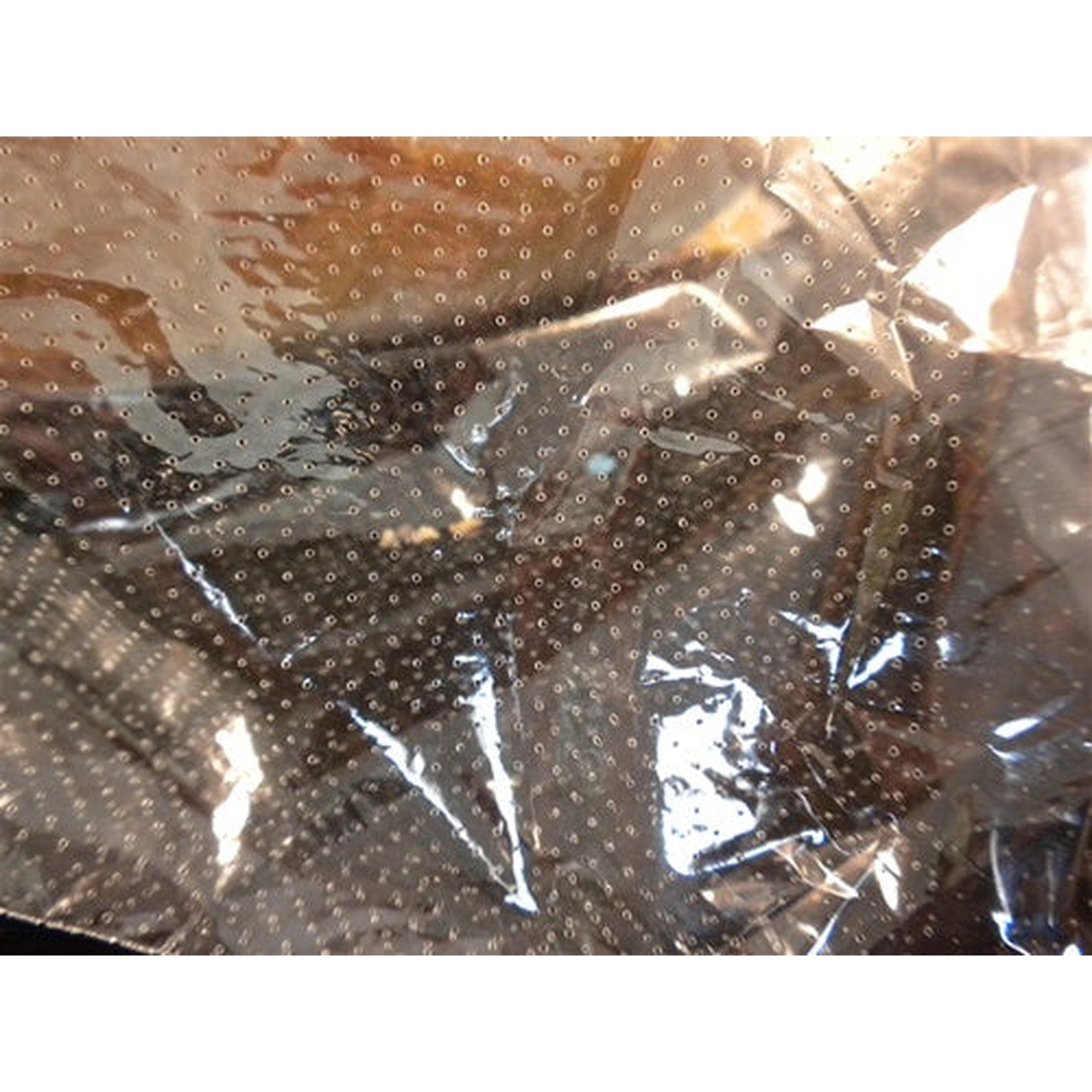 Polyprop Perforated Cellophane Bags 10x20cm 100pack