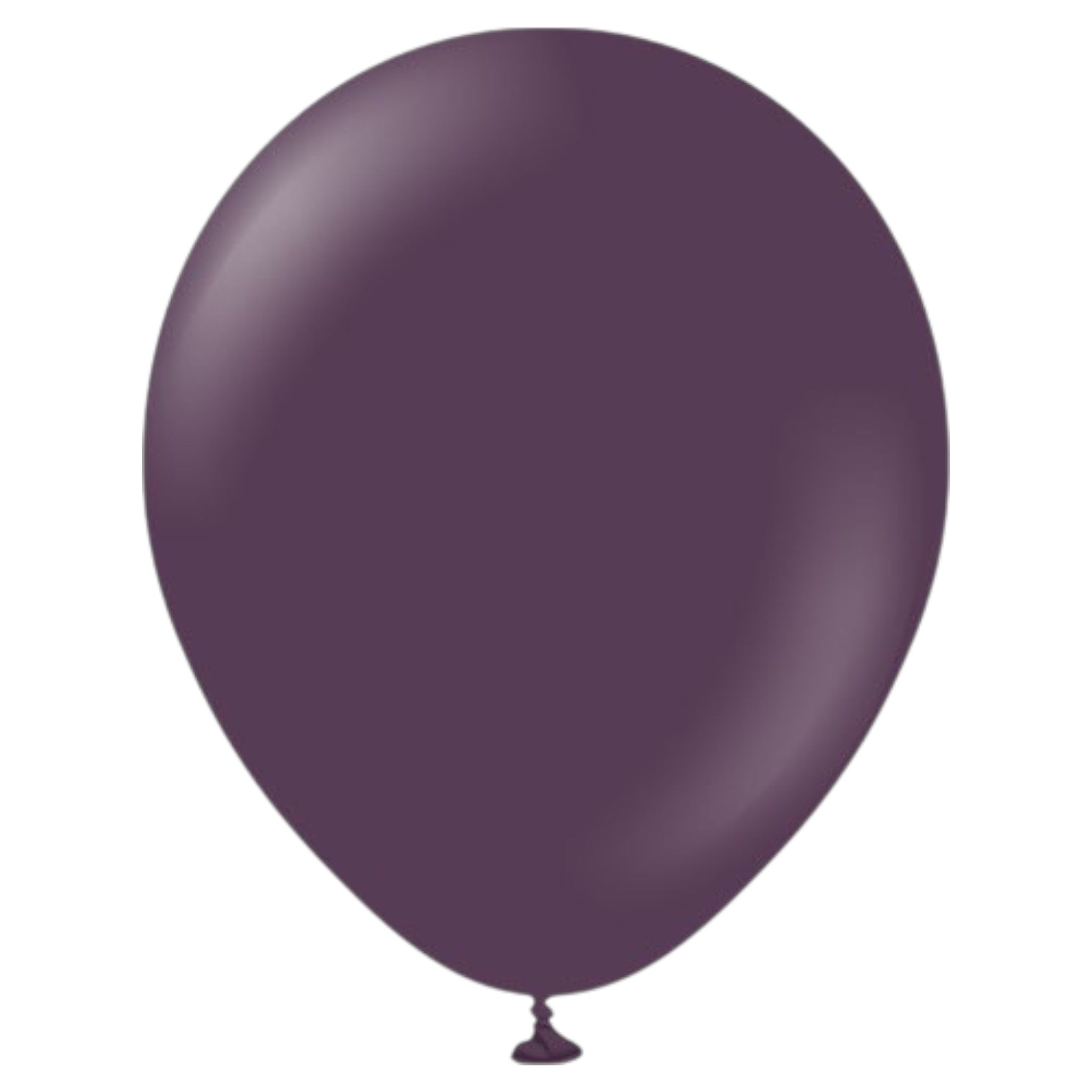 Latex Metallic Party Balloons 10pack