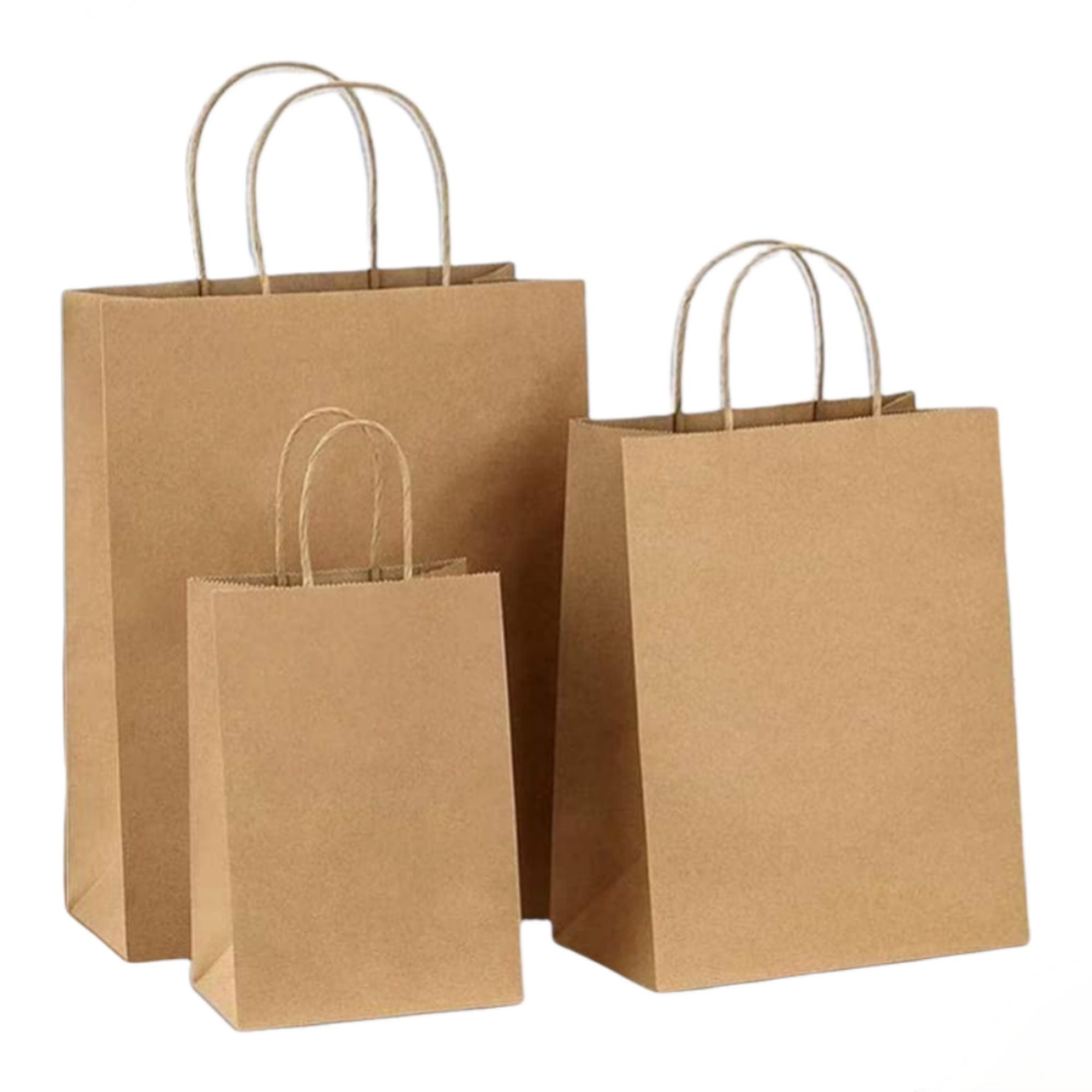 Kraft Paper Gift Bag Potrait  130gsm with Paper Twist Handle