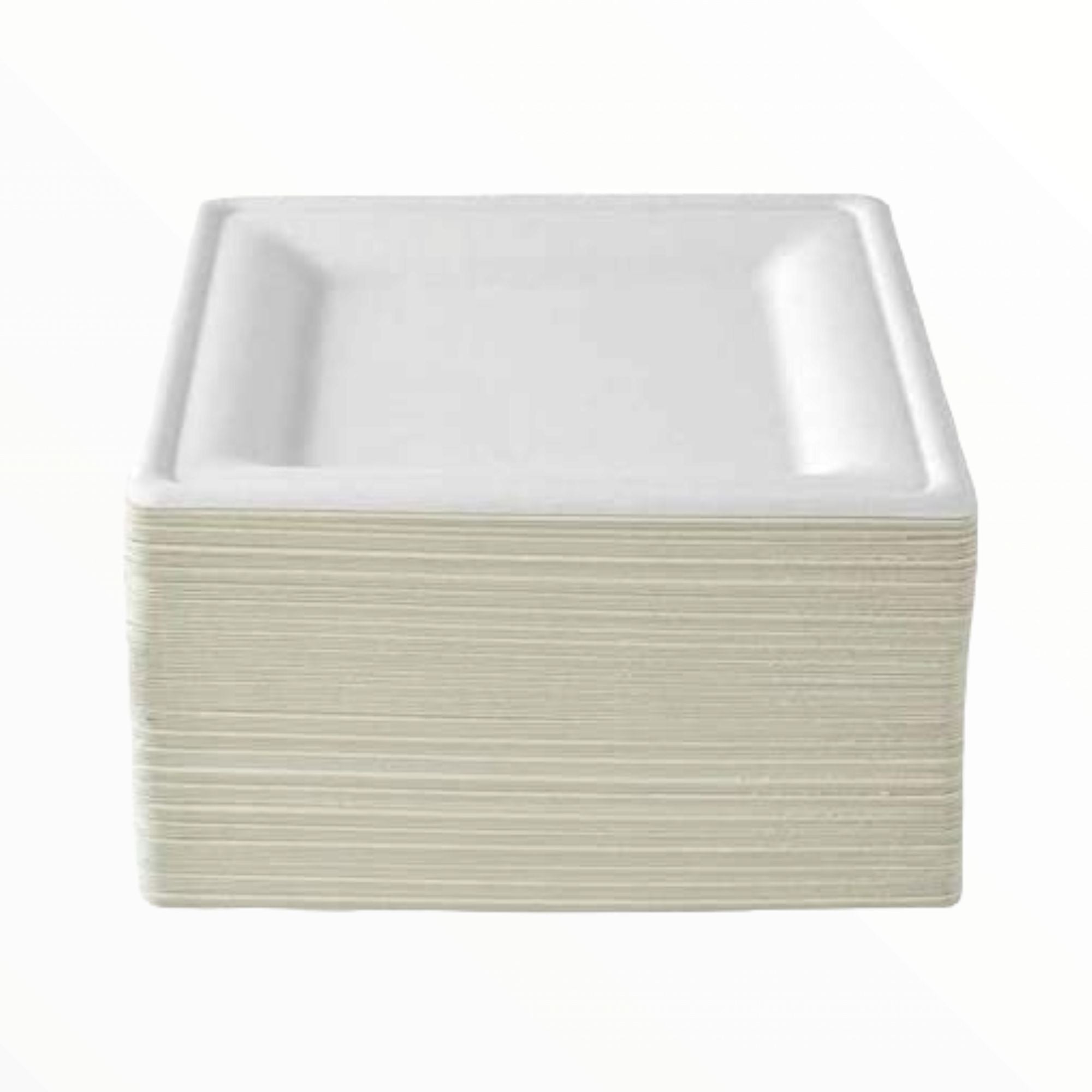 Biodegradable Takeaway Plate 10inch Square