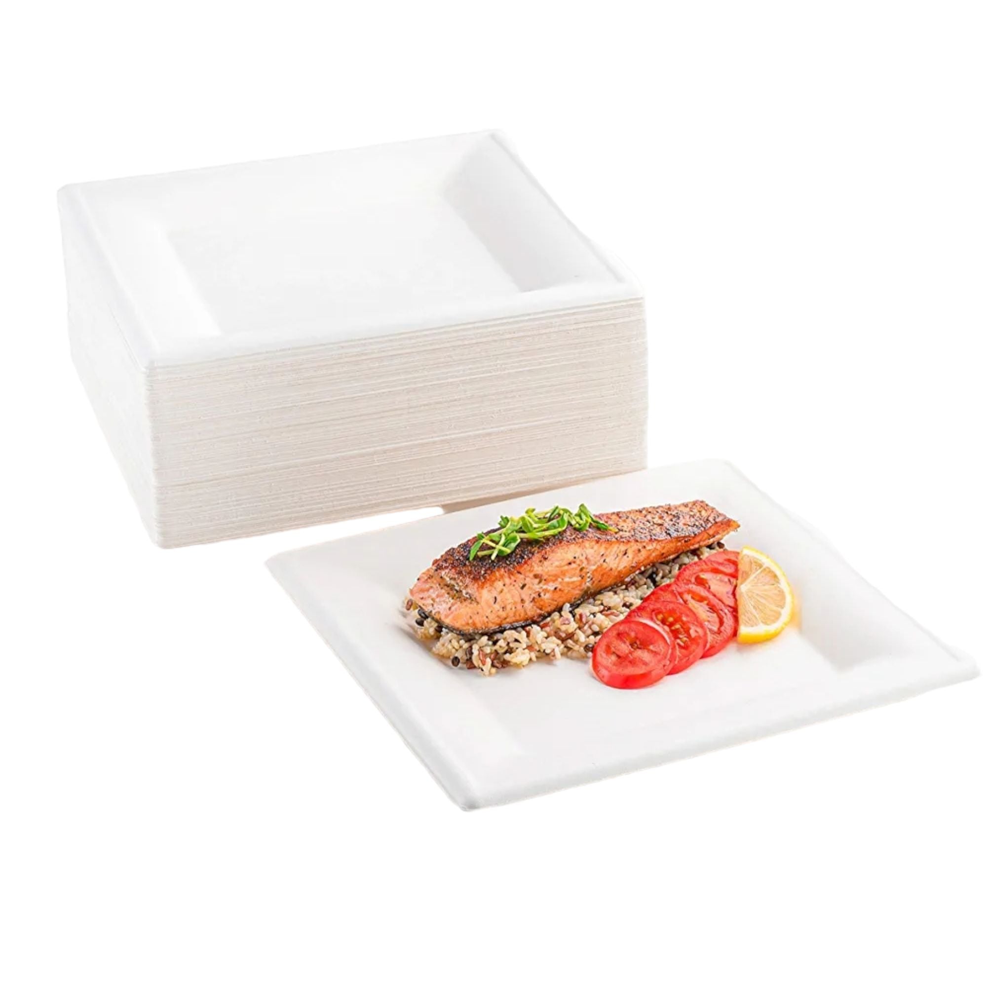 Biodegradable Takeaway Plate 10inch Square White Sugar Cane